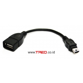 Mini USB OTG